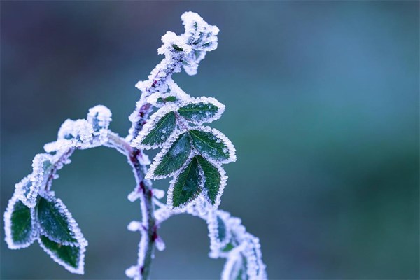 Kako se učinkovito zaštiti od hladnoće? 